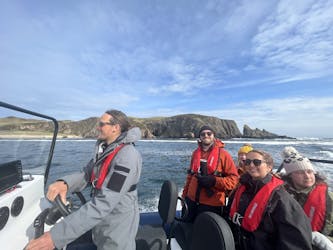 Tour privado en RIB por las islas del norte de Escocia
